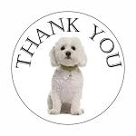 Thank You Dog White Bichon Frise Round Dot Stickers Set